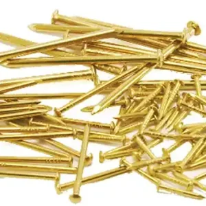 Pointes laiton têtes rondes 20x2,2mm boite de 1kg - HERACLES - LR20.14 Bon Marché