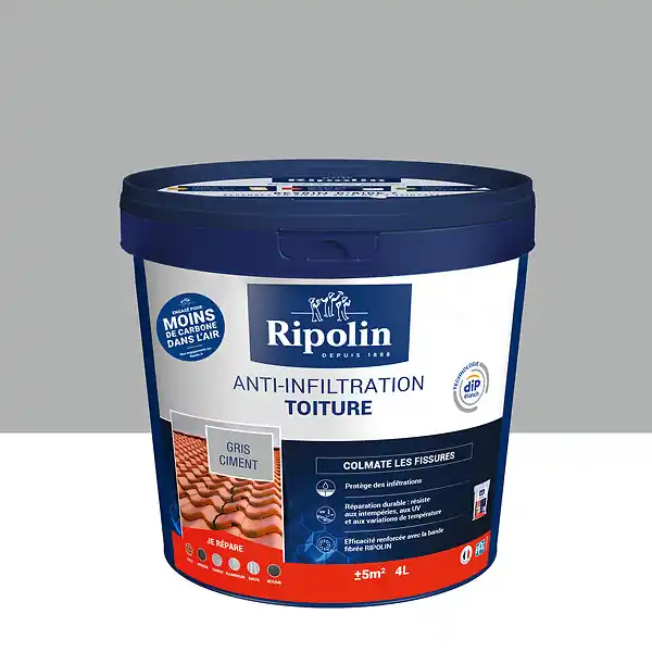 Anti-infiltration toiture DIP étanch - Gris ciment - 4L RIPOLIN Populaire