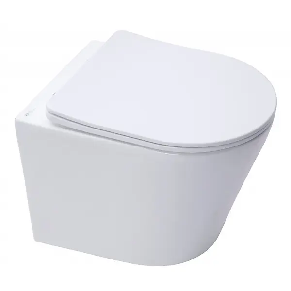 Meilleur Choix Swiss Aqua Technologies WC suspendu Infinitio sans bride et fixations invisibles + abattant frein de chute (SATINF010RREXP)