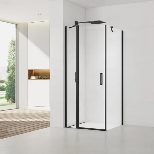Swiss Aqua Technologies Fusion ensemble porte pivotante /paroi 100x90cm anticalcaire avec profilés noir mat (SATFUDP100S90C-SET) Quantité Limitée